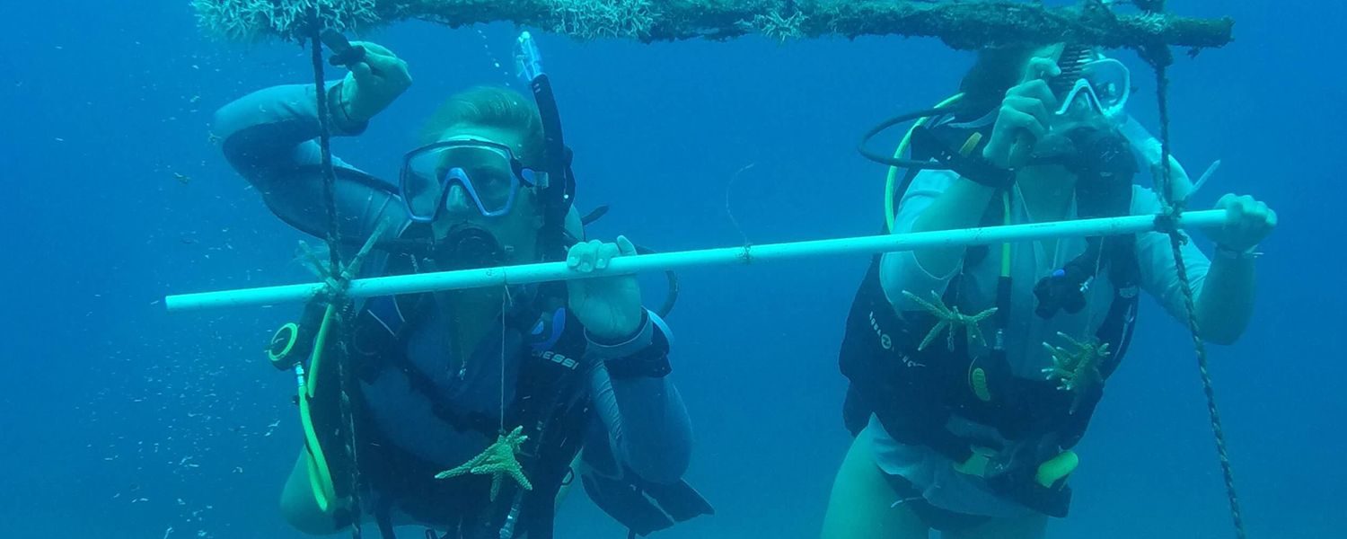 teens cleaning coral broadreach marine biology student blog