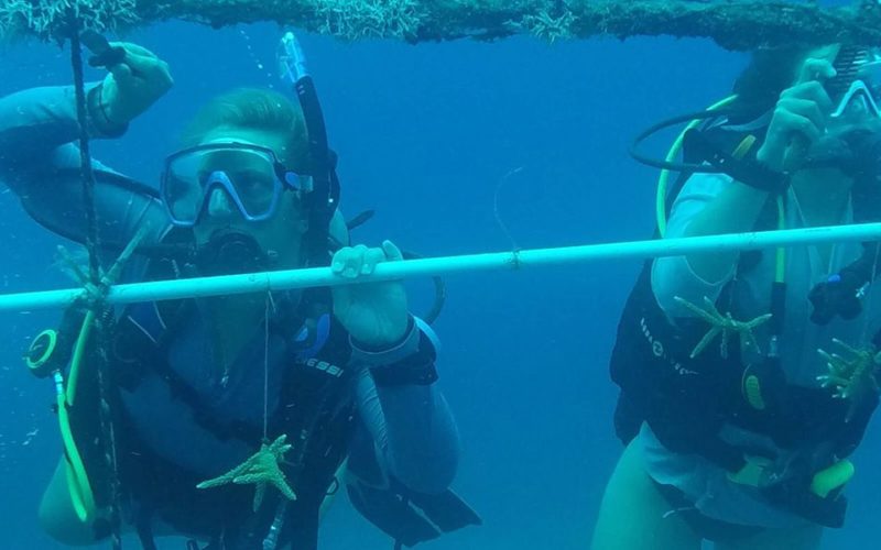 teens cleaning coral broadreach marine biology student blog