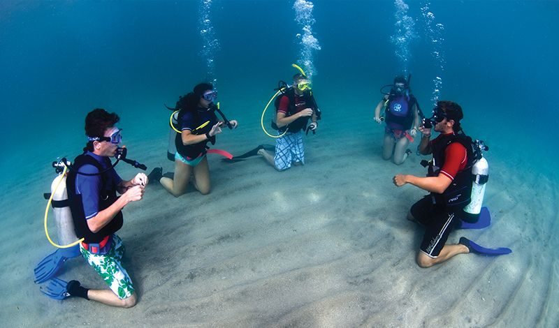 Broadreach Caribbean PADI Divemaster