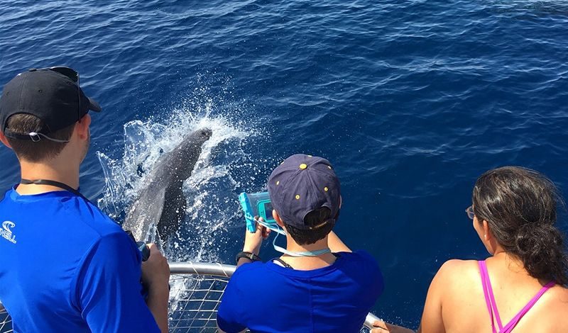 High School marine biology student studies whales and dophins on summer trip in the Azores