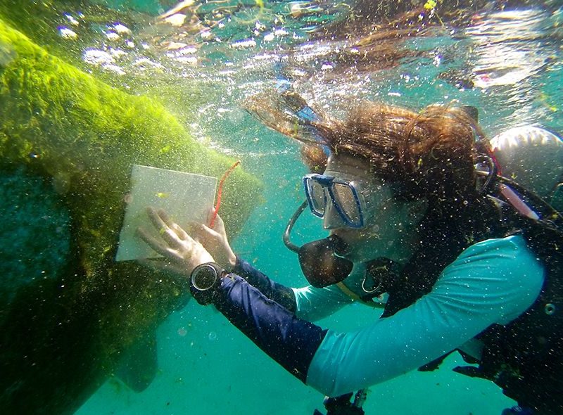 Teen doing underwater survey on Broadreach advanced scuba