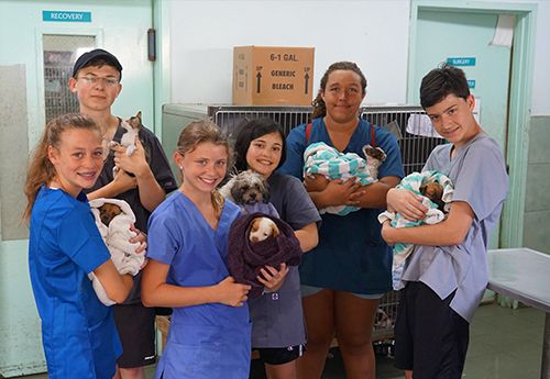 Middle schoolers with puppies on animal science camp program