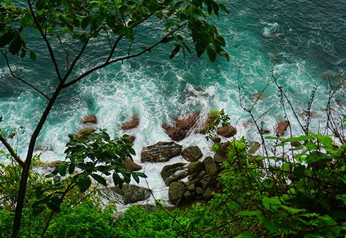 River through jungle on Costa Rica vet summer trip