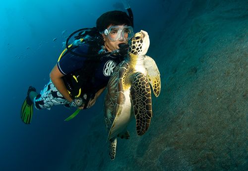 Student diving with green turtle on Broadreach advanced scuba camp