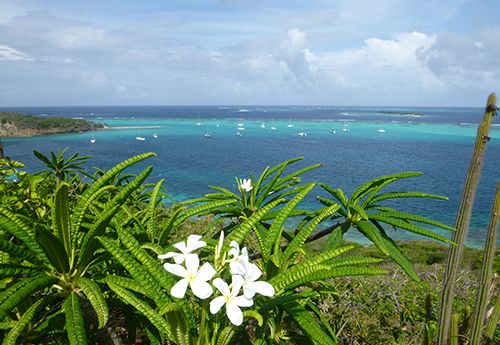 View of St Barths bay on Broadreach advanced teen scuba camp