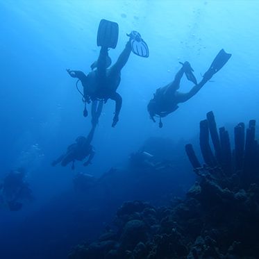Teens scuba diving in bonaire on Broadreach summer scuba diving camp