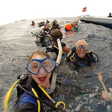 Divers on surface in Saba on marine biology summer camp