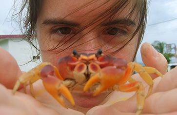 Teen holding crab on marine biology summer program Curacao