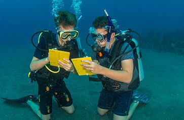 Padi Divemaster course students doing underwater survey