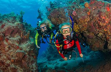 Divers on reef on scuba internships Caribbean