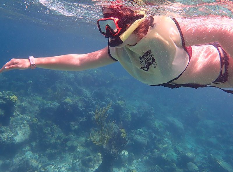 Student snorkelling on coral reef on Bahamas animal science camp