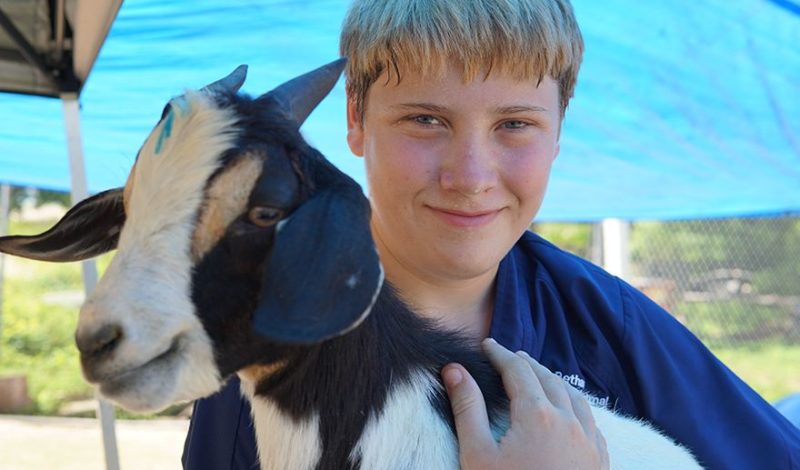 Student with goat on animal science camp Broadreach