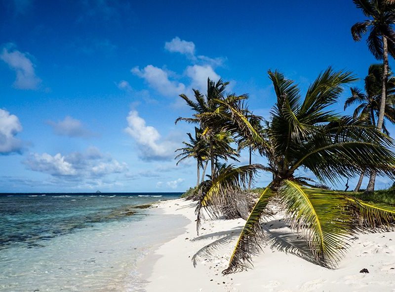 Deserted beach in windward islands seen on Caribbean dive sail camp
