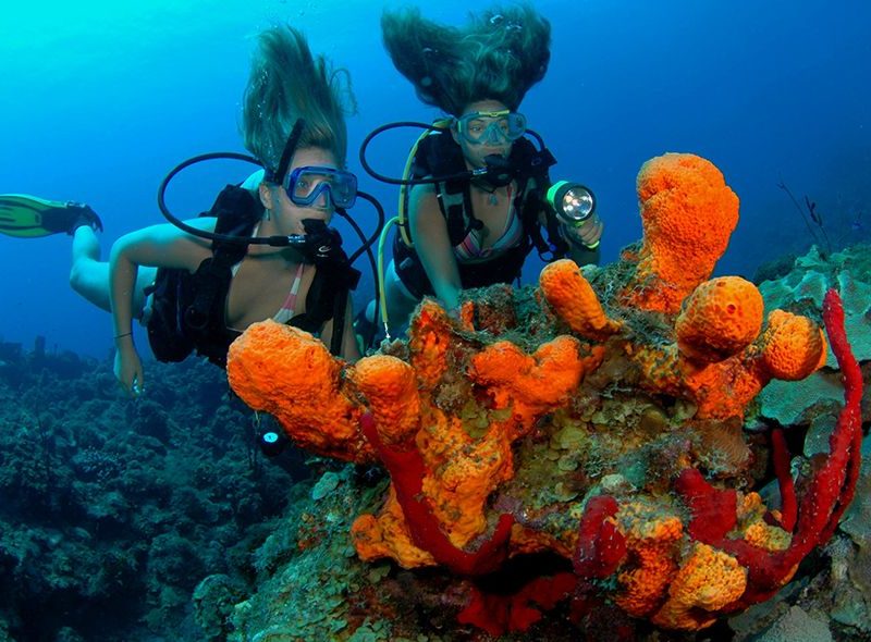 Teens scuba diving on Caribbean coral reef on Broadreach advanced scuba camp