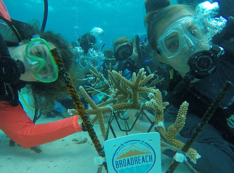 Teens in coral nursery diving on intro to marine biology camp