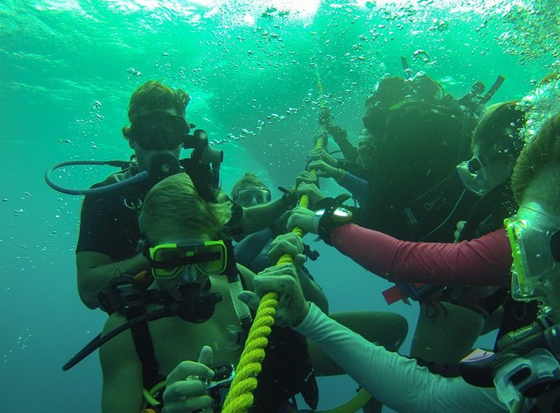 Teens diving on marine biology program for middle school students