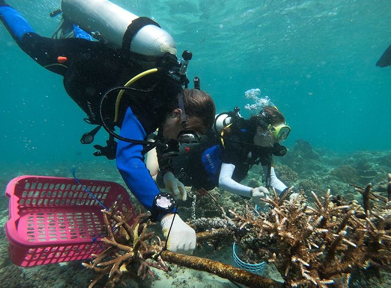 Students cleaning coral on Broadreach scuba camp