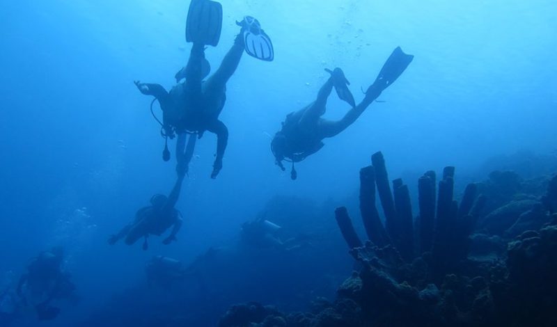 Teens diving on bonaire coral reef on Broadreach scuba diving trip