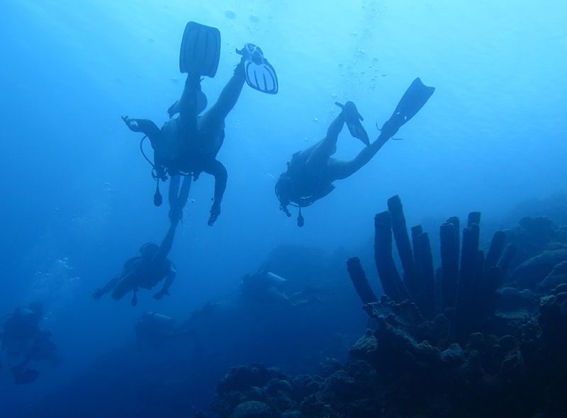 Teens diving on bonaire coral reef on Broadreach scuba diving trip