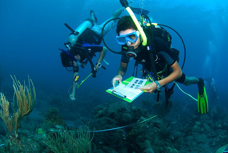 Middle school students on marine biology summer camp volunteer at coral nursery