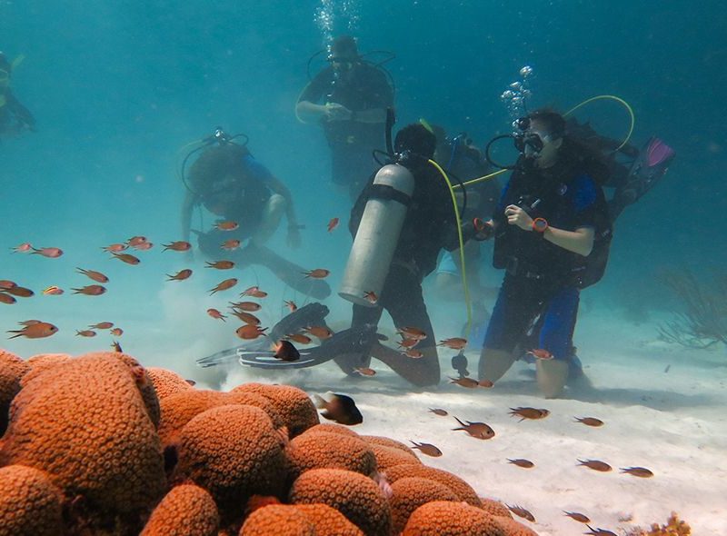 Divemasters practicing skills on diving internship abroad