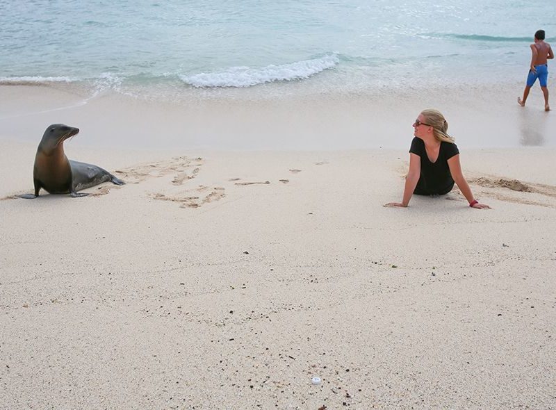 teen wildlife biology programs showing teen and seal