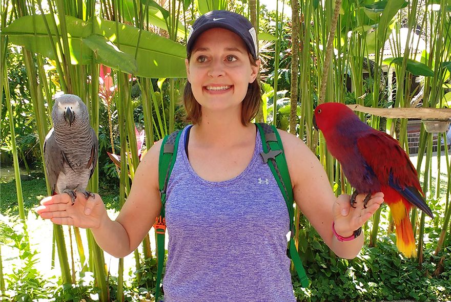 Student holding two tropical parrots on veterinary medicine summer program