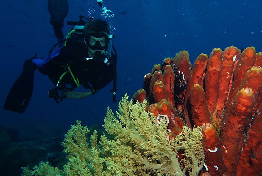 Teen diving on Philippines coral reef on summer advanced scuba camp