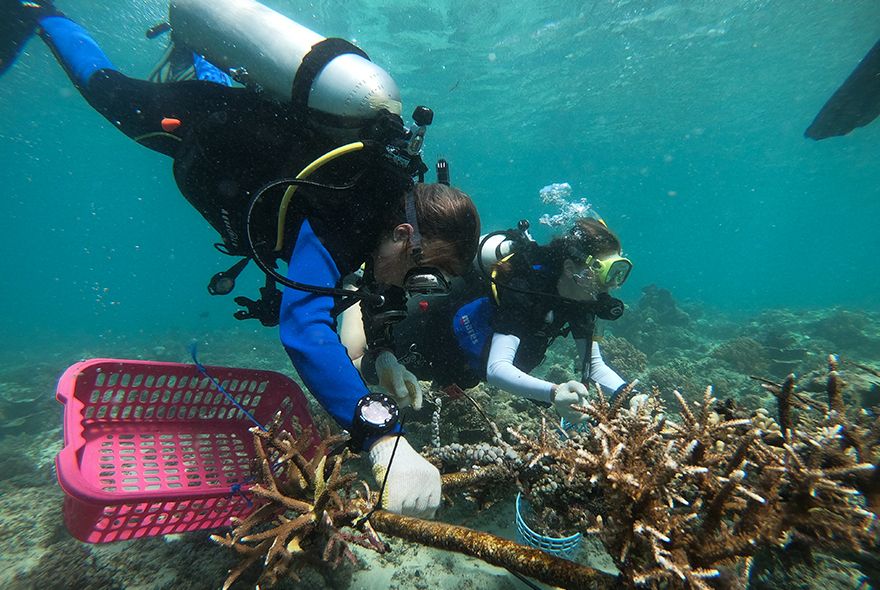 Group of high school students on international marine biology summer camp in Curacao