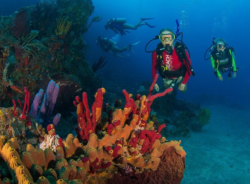 Teens scuba diving on coral reef on Broadreach scuba voyage