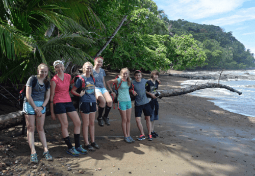 sea turtle camp