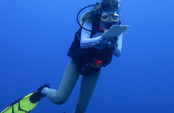 padi divemaster courses for college students