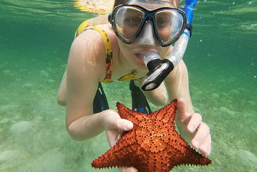 Girl snorkeling with starfish for marine science summer jobs in the Caribbean 