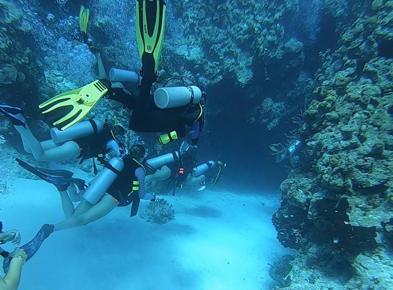 Teens diving on coral reef on high school marine biology camp