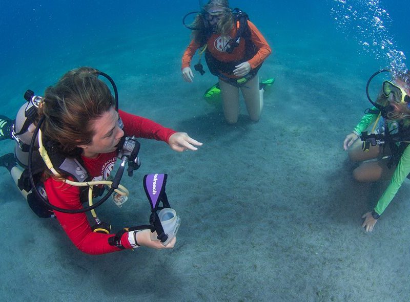 Instructor students teaching mask sills on summer padi instructor training