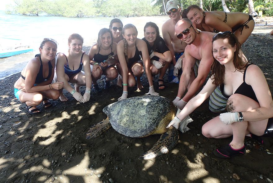 Instructor doing veterinary summer job poses with group of student near sea turtle on Costa Rica beach.