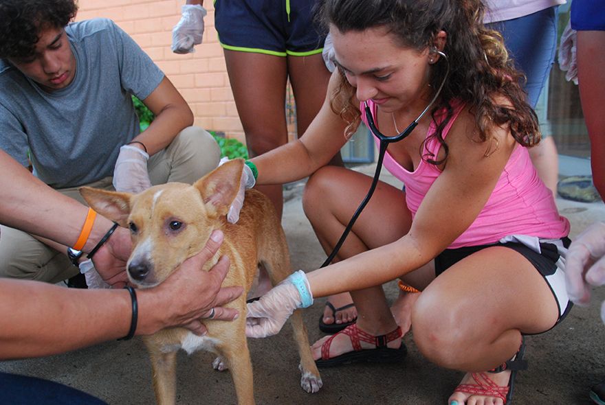 Teen students examine dog assisted by summer veterinary job instructor in Costa Rica.