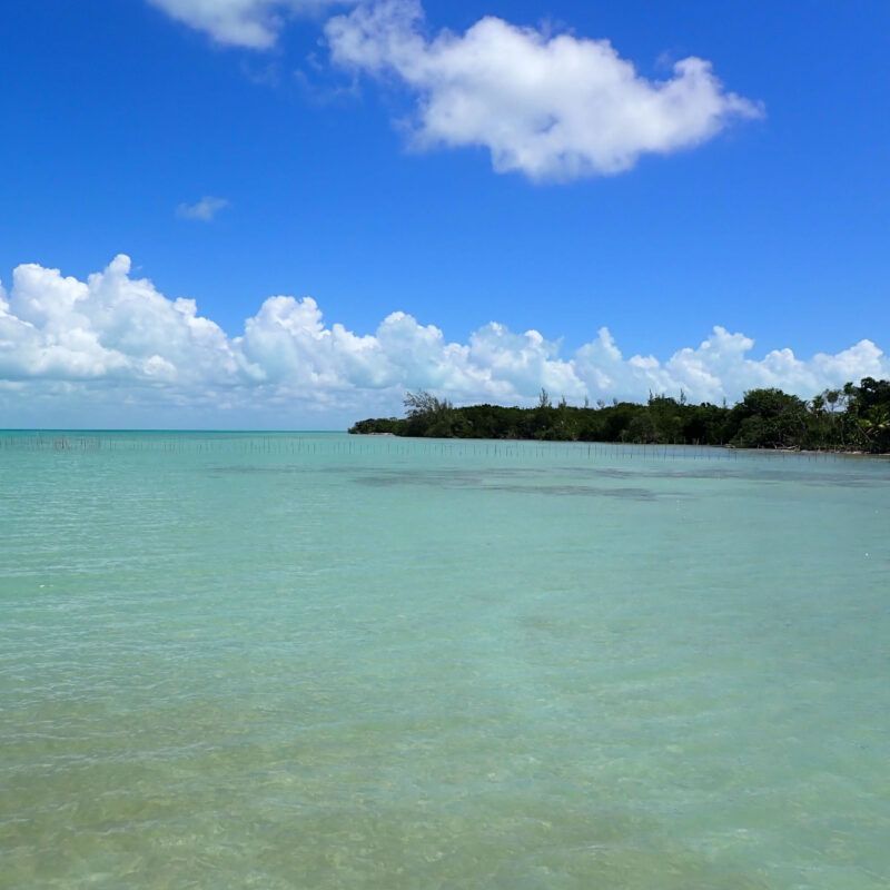 advanced scuba program in Belize for alumni