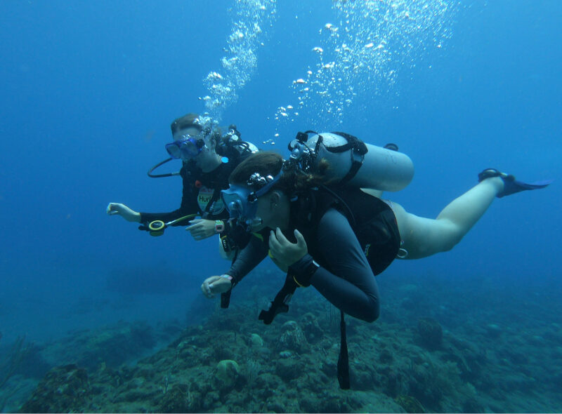 students scuba diving marine science camp