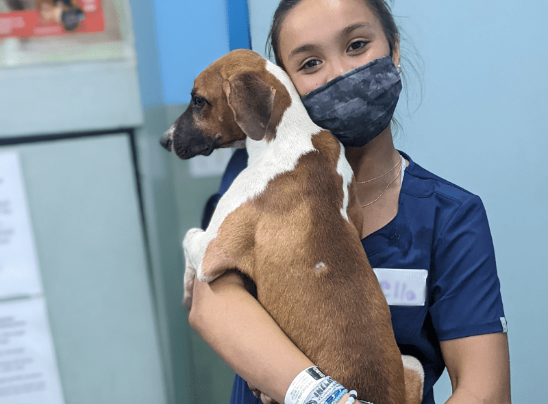 Middle school student holds puppy for animal science camp in Bahamas