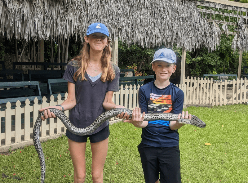 Middle school students learn to handle a snake at Bahamas veterinary medicine camp