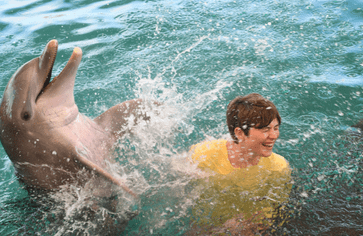 Teen splashed by dolphin in Bahamas at animal science summer camp