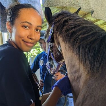 high school give injection to horse on veterinary medicine summer program in Costa Rica