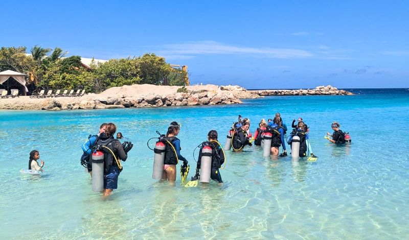 high school students shore dive in Curacao on marine biology trip