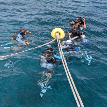 Teens learn to dive on intro to marine biology intro program