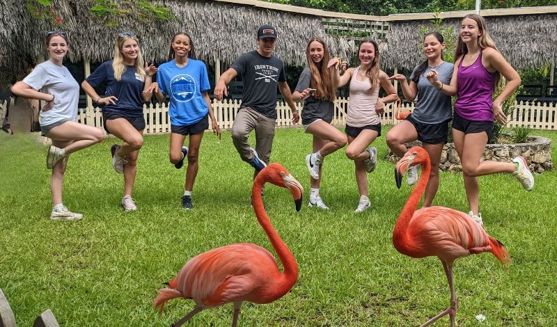 high school students on vet program pose with flamingoes in the Bahamas