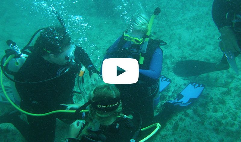 advanced scuba summer programs for teens