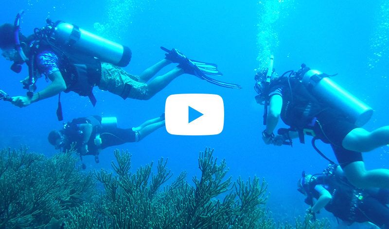 marine biology, scuba and sailing camps for high school students video