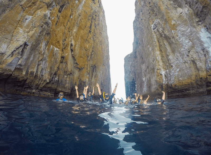 Teens snorkel in Galapagos while studying biology on wildlife biology summer travel program