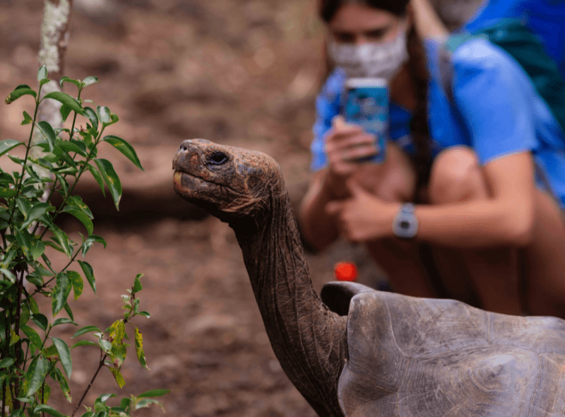 High school students study wildlife biology in Galapagos on outdoor adventure camp